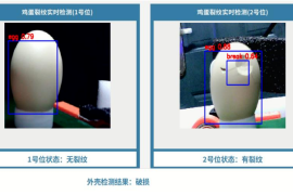 【2025国赛一等奖】壳·心双鉴：ELF 2开发板赋能边缘AI与高光谱的蛋品双维检测