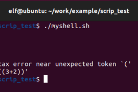 运算-(())的使用方法